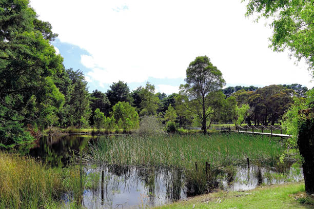 istock Lal Lal, Victoria, Australia 1497084848