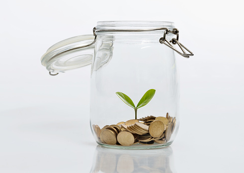 Young plant growing from coin jar