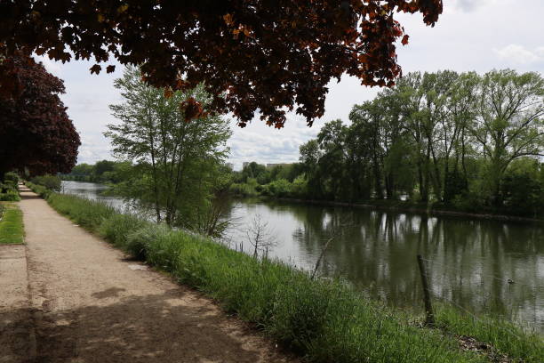 istock Orleans - Loire river banks 1497093015