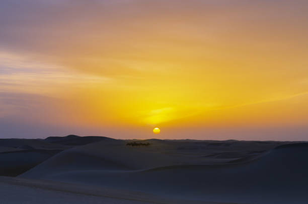 istock Sand dune desert in early morning, empty quarter. 1497094375