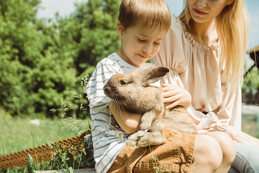 Home dwarf decorative rabbit sits on a boys hands outdoors in summer day. Owners are walking with their pet in the park. The concept of loving and caring for pets