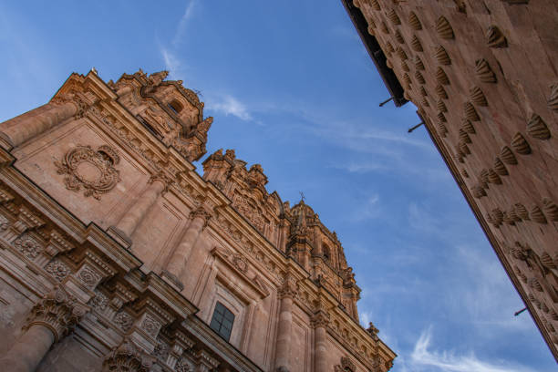 Catholic church Colegio Real de la Compania de Jesus and Casa de las conchas, view from below