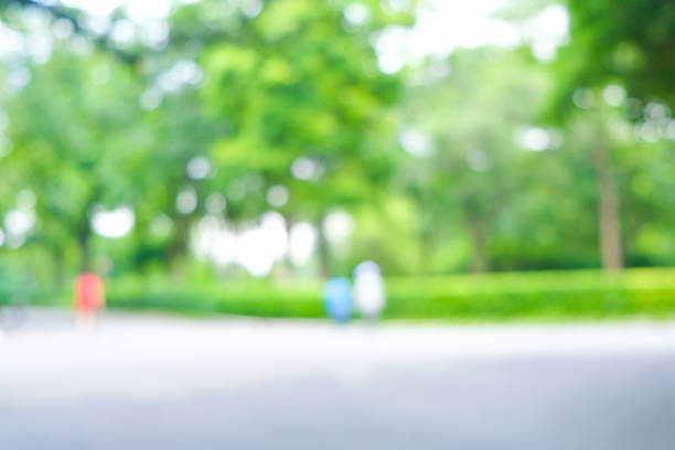 istock Blurred walk run pathway in city green tree park 1497110739