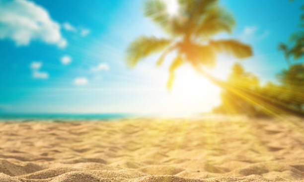 istock Blur beautiful nature green palm leaf on tropical beach with bokeh sun light wave abstract background. Copy space of summer vacation and business travel concept. Vintage tone filter effect color style 1497110755