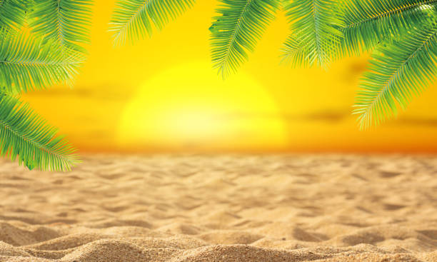 istock Blur beautiful nature green palm leaf on tropical beach with bokeh sun light wave abstract background. Copy space of summer vacation and business travel concept. Vintage tone filter effect color style 1497110782
