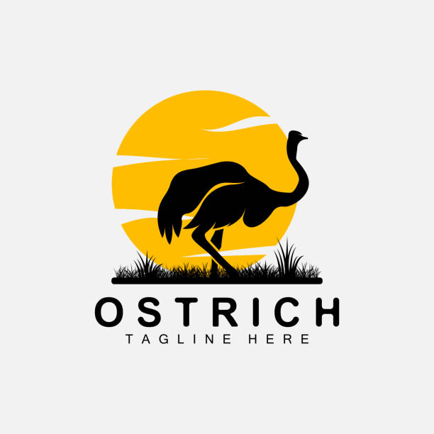 straußen-logo-design, wüstentier-illustration, leben im wald, vektorkamel-markenprodukt - camel animal dromedary camel desert stock-grafiken, -clipart, -cartoons und -symbole