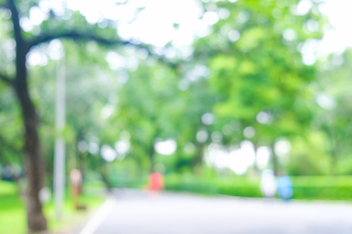 Blurred walk run pathway in city green tree park nature background