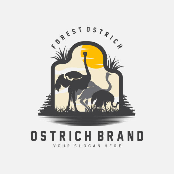 straußen-logo-design, wüstentier-illustration, leben im wald, vektorkamel-markenprodukt - camel animal dromedary camel desert stock-grafiken, -clipart, -cartoons und -symbole