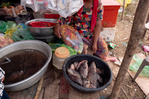 istock Cambodia, fish full of flies inside a basin 1497114161