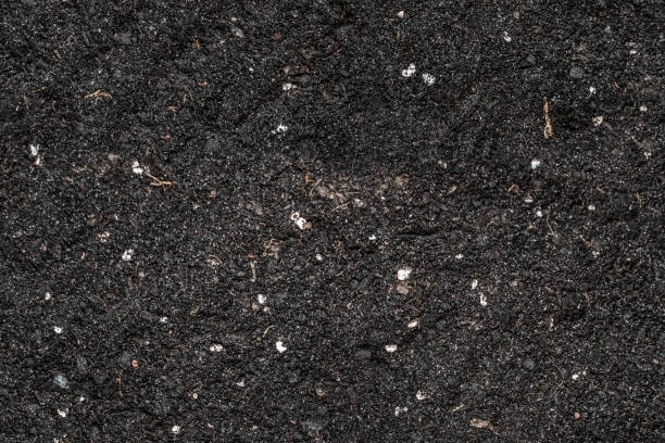 Black seamless texture of soil-chernozem