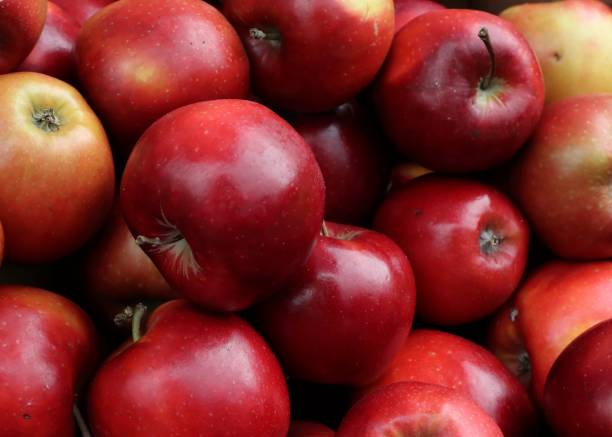 istock lot of nice red apples 1497121249
