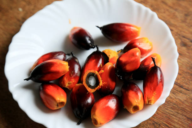 istock oil palm fruit 1497130152