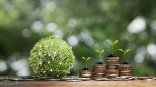 istock Green Globe with Network connection and  stack of silver coins the seedlings are growing on top. Concept of Green business, finance and sustainability investment. Carbon credit concept. 1497131717
