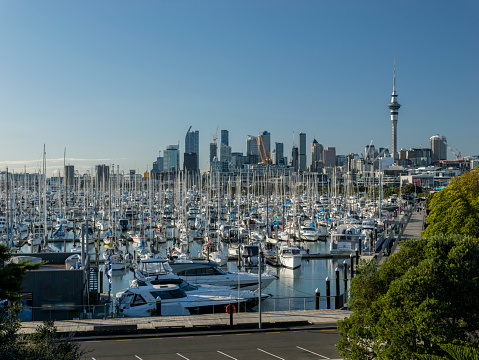 Westhaven Marina and Downtown Auckland in New Zealand