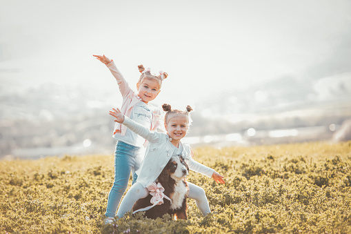 Cute sisters playing with their bernese mountain dog puppy