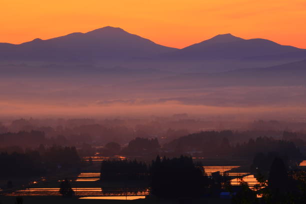 istock Rural landscape at dawn 1497133411