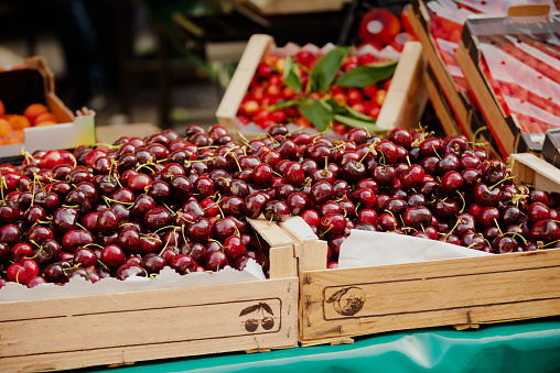 Big cherries in Paris open air market