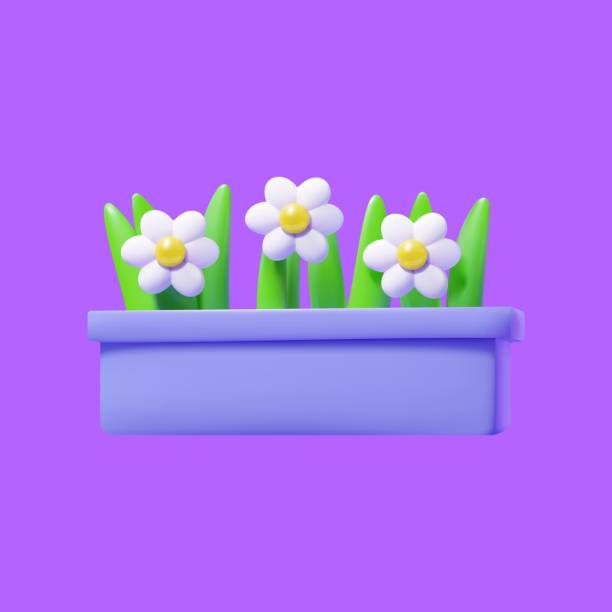 istock Long outdoor decorative summer pot with white flowers. 3D vector 1497136654