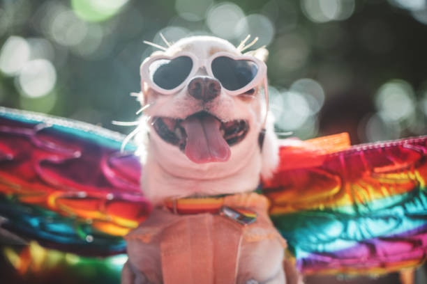 istock Portrait of cute dog 1497138746