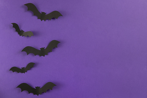 Halloween decorations, paper bats on purple colored background with copy space