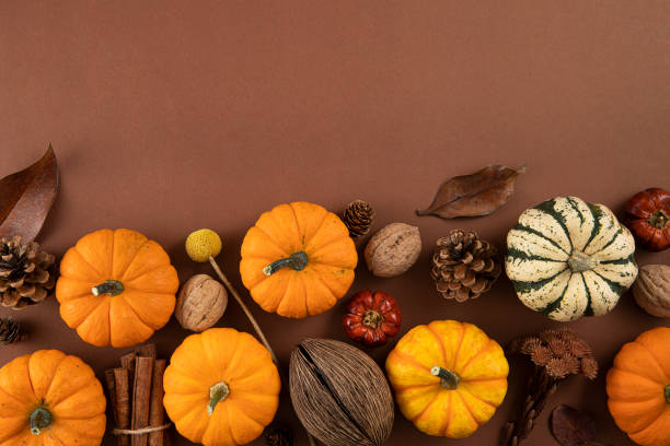 istock Autumn Gourds Holiday Background 1497142288