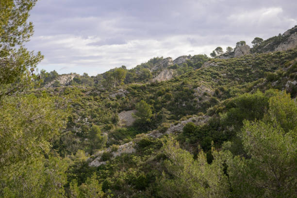 istock Morning on a sunny day in the Alpilles in springtime 1497143322