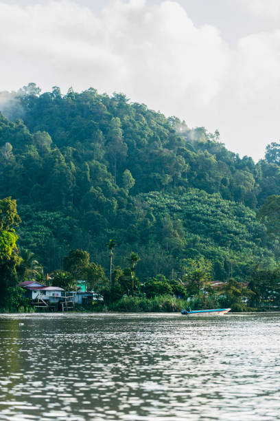 istock Kinabatangan river, Borneo, Malaysia 1497145280