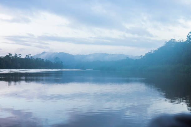 istock Kinabatangan river, Borneo, Malaysia 1497145297