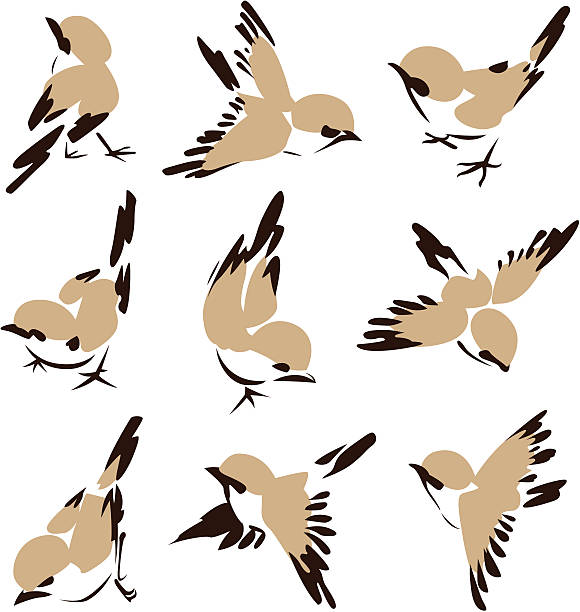stockillustraties, clipart, cartoons en iconen met small illustrated brown birds on white background - sparrows