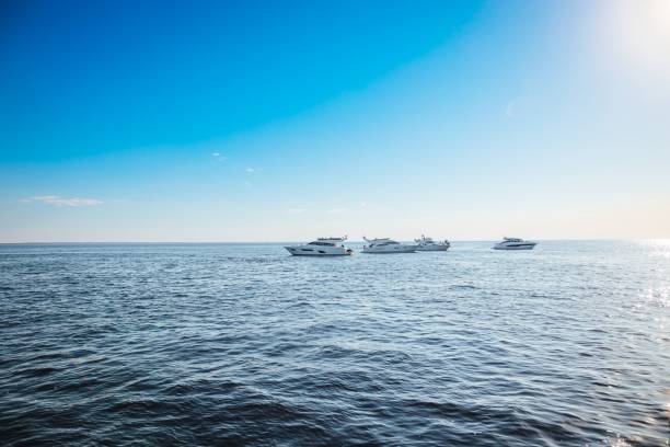 istock Fleet of ships sailing in the open ocean 1497146524