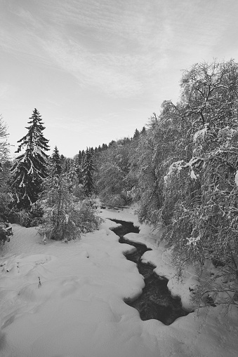 A scenic view of a river through trees covered with snow in Toten, Norway in winter