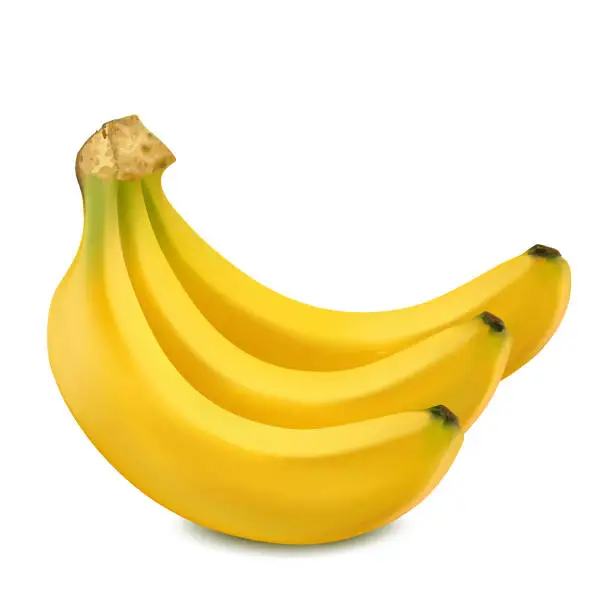 Vector illustration of bananas