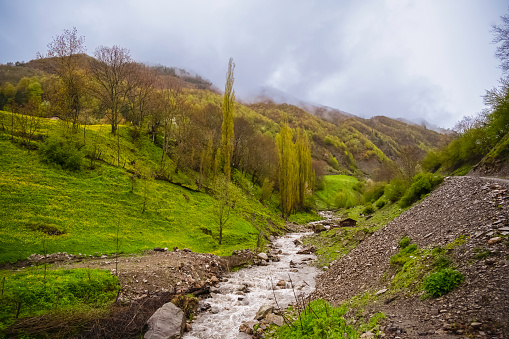 Green mountain valley with a small stream at countryside on rainy day
