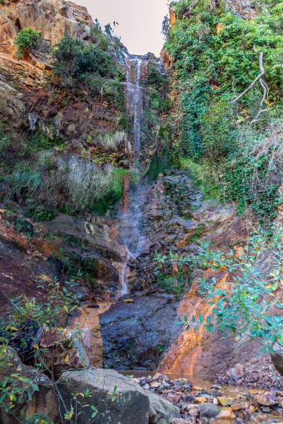 istock Waterfall in a Forest at Ain Charchara, Ain Draham, Tunisia 1497158425