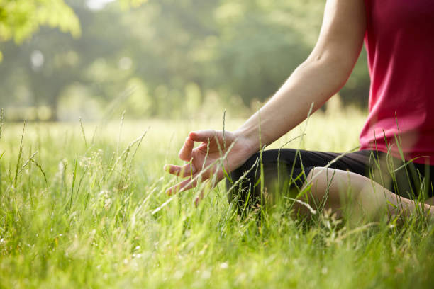 istock Outdoor Yoga 1497161464