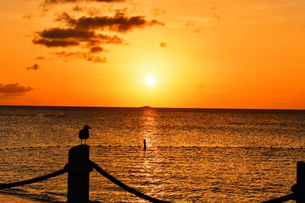 A brilliantly vibrant sunset falls into\nThe ocean while a hill takes the evening on