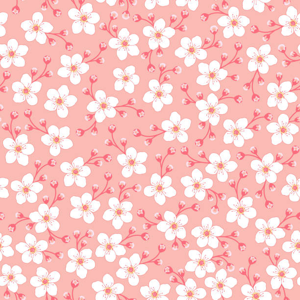 ilustrações, clipart, desenhos animados e ícones de sakura estampa floral. flor de cerejeira de pêssego padrão sem costura. padrão de flor de jasmim branco. - cherry blossom flower head spring flower