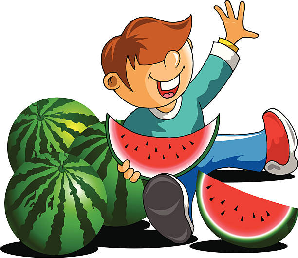 watermelon vector art illustration