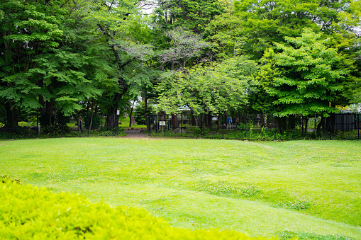 Scenery of a Japanese garden taken in June