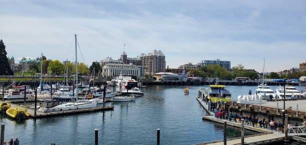 istock Victoria Harbour port, British Columbia 1497170808