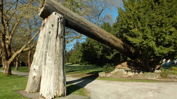 istock Stanley Park big wood Vancouver 1497172420