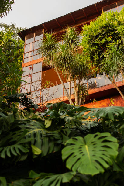 istock San Pedro, Lake Atitlan 1497172845