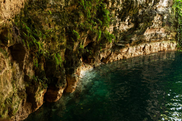 istock Cenote in Yucatan Peninsula, Mexico 1497174741