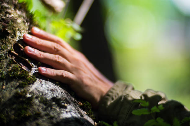 istock A man's hand touch the tree trunk close-up. Bark wood.Caring for the environment. The ecology concept of saving the world and love nature by human 1497176034