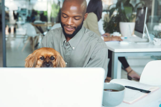 istock A dog is sitting with his owner working 1497176743