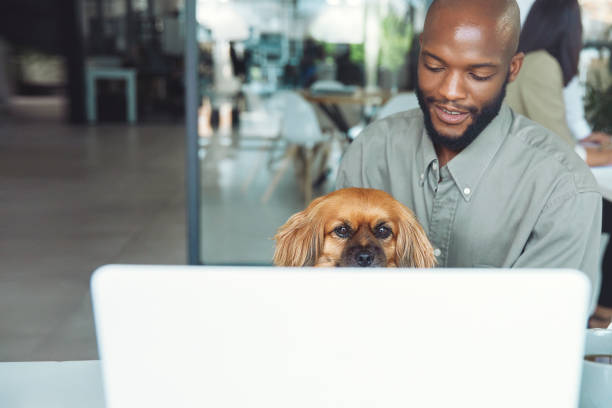 istock A dog is sitting with his owner working 1497176746
