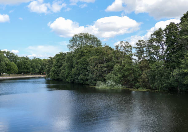 istock Scenic view of river against sky during summer 1497177304