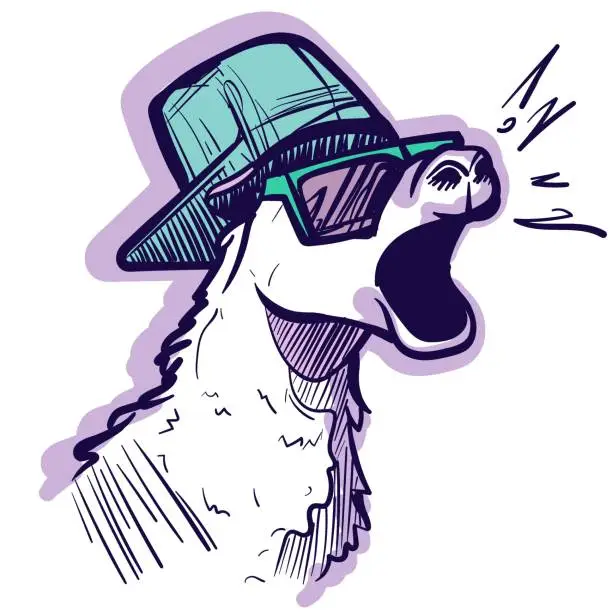 Vector illustration of Digital art of a graffiti hip hop llama with sunglasses screaming. Vector of a cool alpaca with a gangsta hat