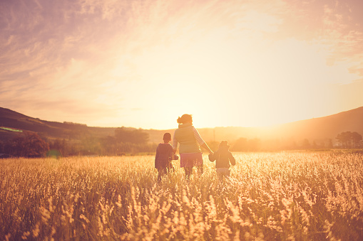 Rear view back lit Single mother with two children holding hands walking in grass at sunset silhouette.