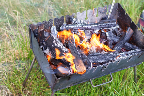 istock Firewood is burning in the grill on the grass 1497182316
